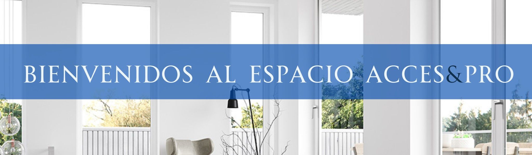 banner profesionales