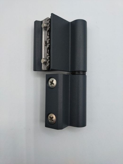 Charnière à plaque droite en acier inoxydable Carina plus