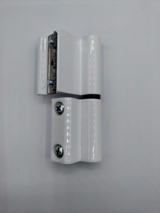 Charnière à plaque droite en acier inoxydable Carina plus