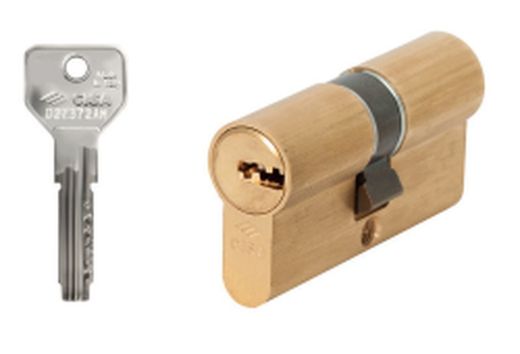 Cylindre de sécurité Asix Nickel 55X55 l/long.