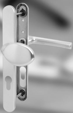 Jeu de poignées à plaque longue + bouton 8/92