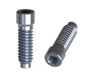 Vis de fixation directe Bis.domina 12x55mm