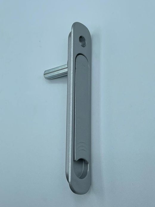 Porte-clou encastré pour multipoint.